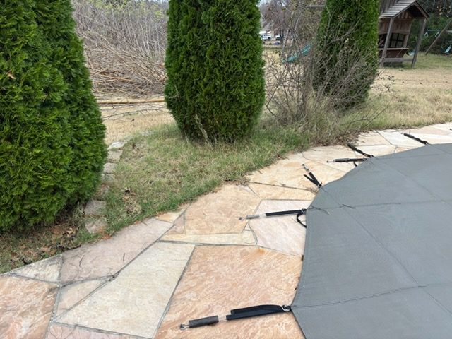 Grass and weeds between shrubs and flagstone before