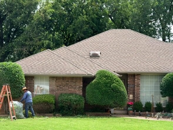 Tight, rounded front shrubs after trimming